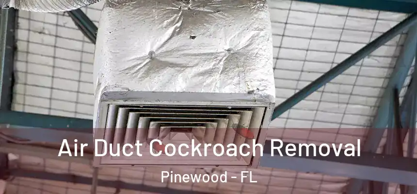 Air Duct Cockroach Removal Pinewood - FL