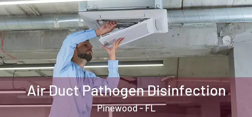 Air Duct Pathogen Disinfection Pinewood - FL
