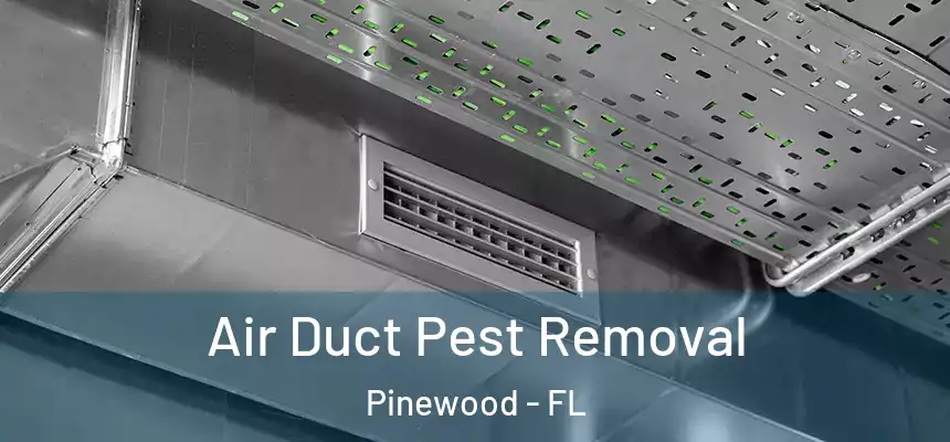 Air Duct Pest Removal Pinewood - FL