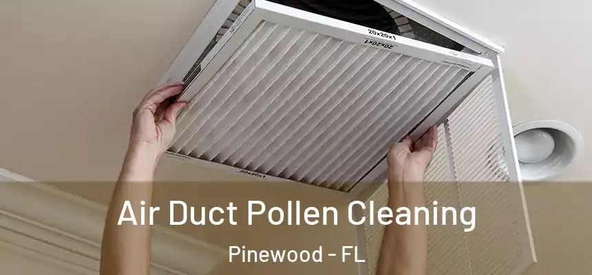 Air Duct Pollen Cleaning Pinewood - FL