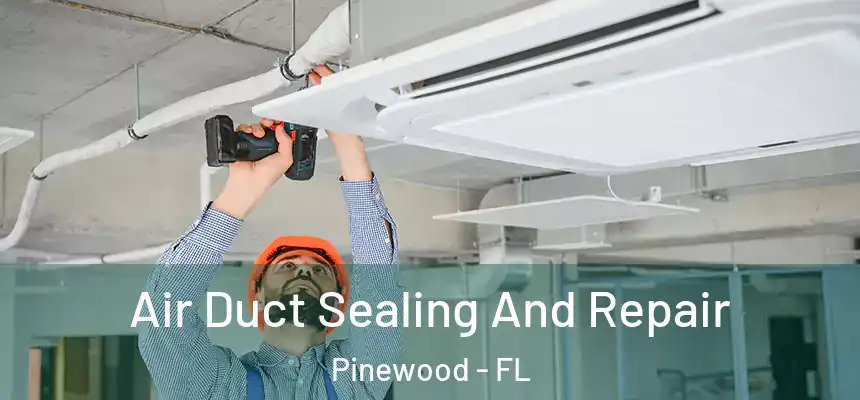 Air Duct Sealing And Repair Pinewood - FL