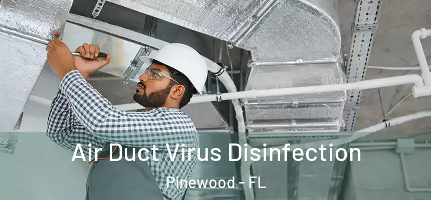 Air Duct Virus Disinfection Pinewood - FL
