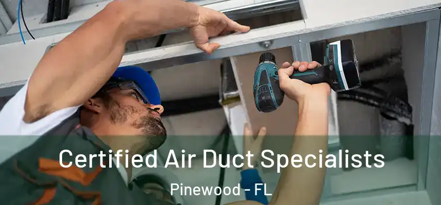 Certified Air Duct Specialists Pinewood - FL
