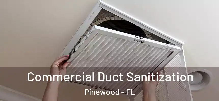 Commercial Duct Sanitization Pinewood - FL