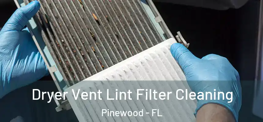 Dryer Vent Lint Filter Cleaning Pinewood - FL