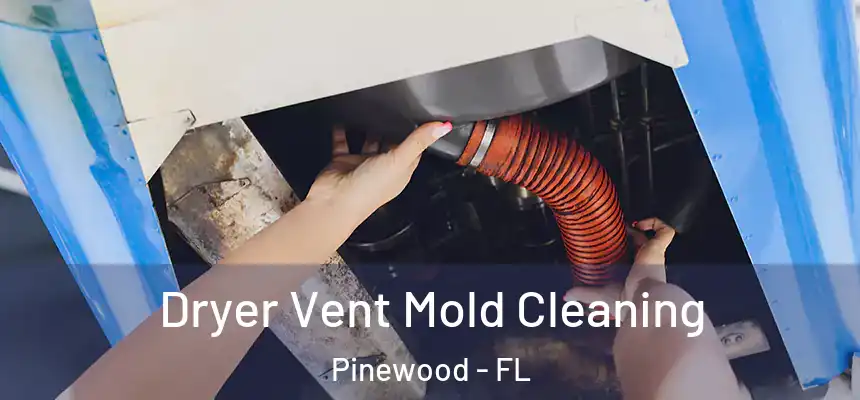 Dryer Vent Mold Cleaning Pinewood - FL