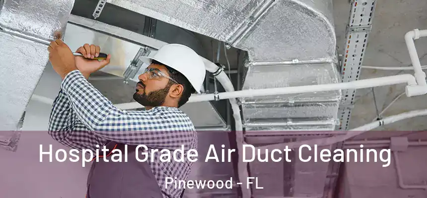 Hospital Grade Air Duct Cleaning Pinewood - FL