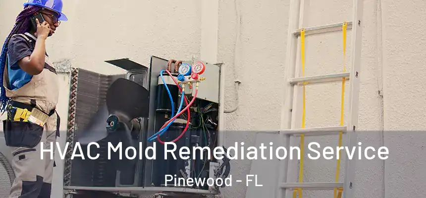 HVAC Mold Remediation Service Pinewood - FL