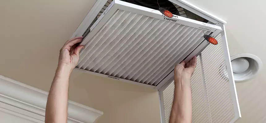 Preventive Cockroach-Proofing for Ducts in Pinewood