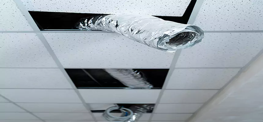 Affordable HVAC Sanitizing After Pest Removal in Pinewood