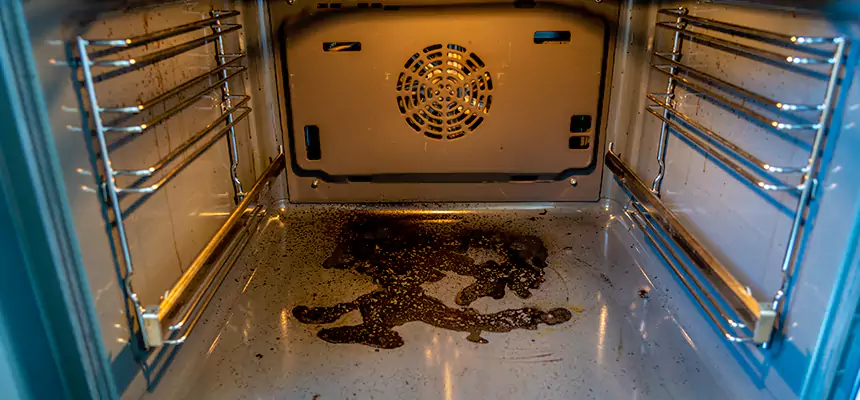 Our Dryer Vent Mold Cleaning Services in Pinewood, FL