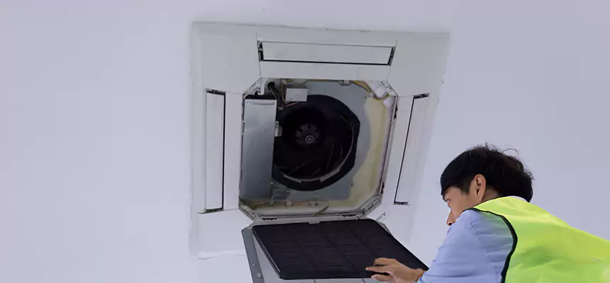 Our Dryer Vent Sanitization Service Services in Pinewood, FL