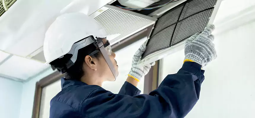 Our Mold & Mildew Removal from Air Ducts Services in Pinewood, FL