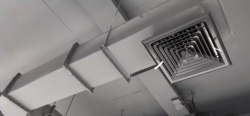 Our Pest Removal From Ducts Services in Pinewood, FL