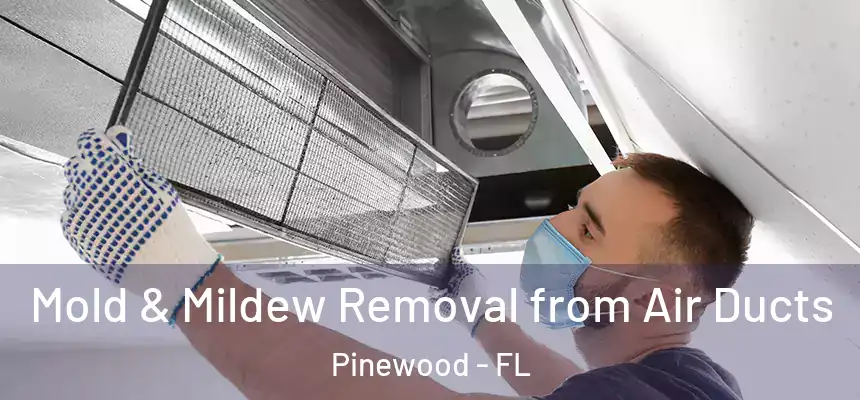 Mold & Mildew Removal from Air Ducts Pinewood - FL
