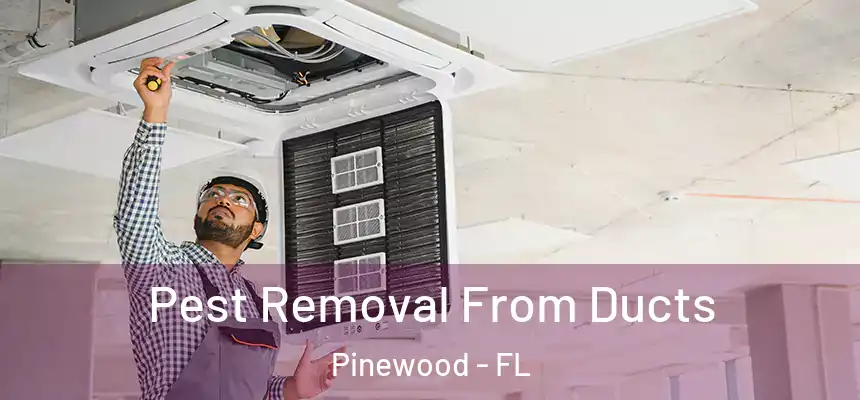 Pest Removal From Ducts Pinewood - FL