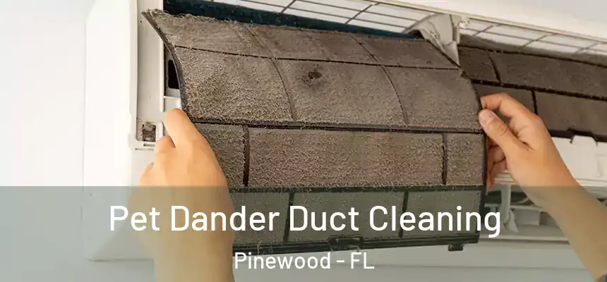 Pet Dander Duct Cleaning Pinewood - FL