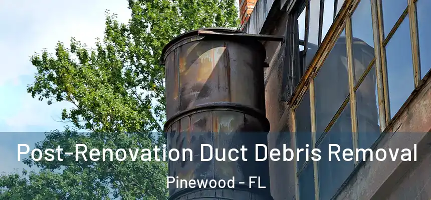 Post-Renovation Duct Debris Removal Pinewood - FL