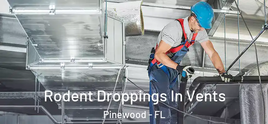 Rodent Droppings In Vents Pinewood - FL