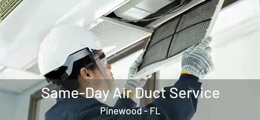 Same-Day Air Duct Service Pinewood - FL