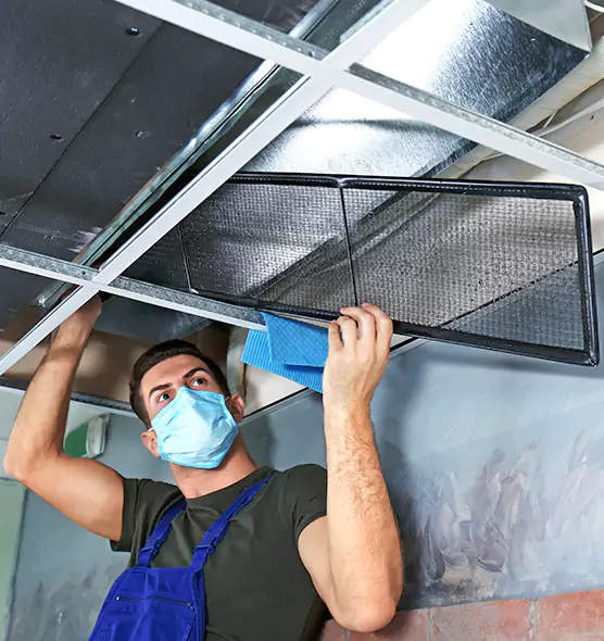 About Air Duct Bacteria Removal in Pinewood