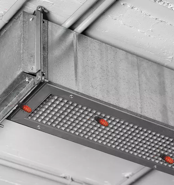 About Air Duct Cockroach Removal in Pinewood, FL