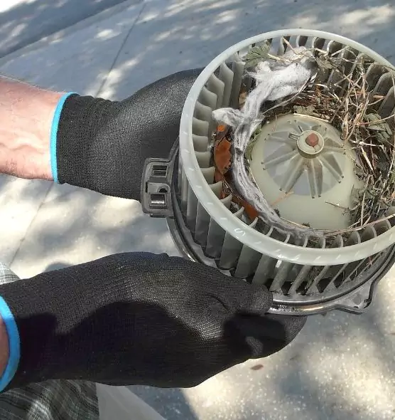 About Air Duct Mice Removal in Pinewood, FL