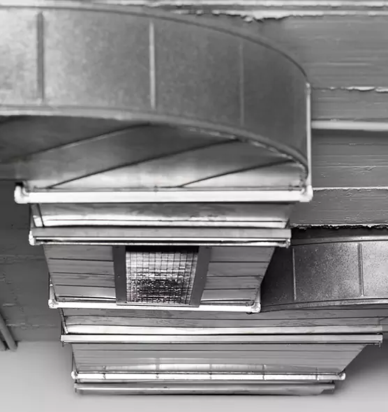 Professional Air Duct Pet Hair Removal in Pinewood, FL