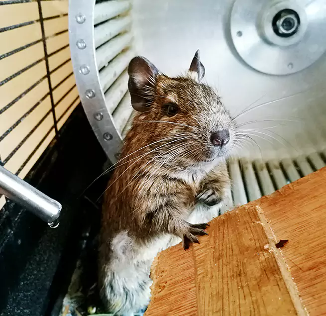 Why Homeowners & Businesses Trust Us Pinewood, FL