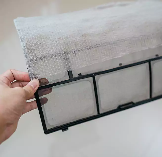 Why Homeowners & Businesses Trust Us in Pinewood, FL?