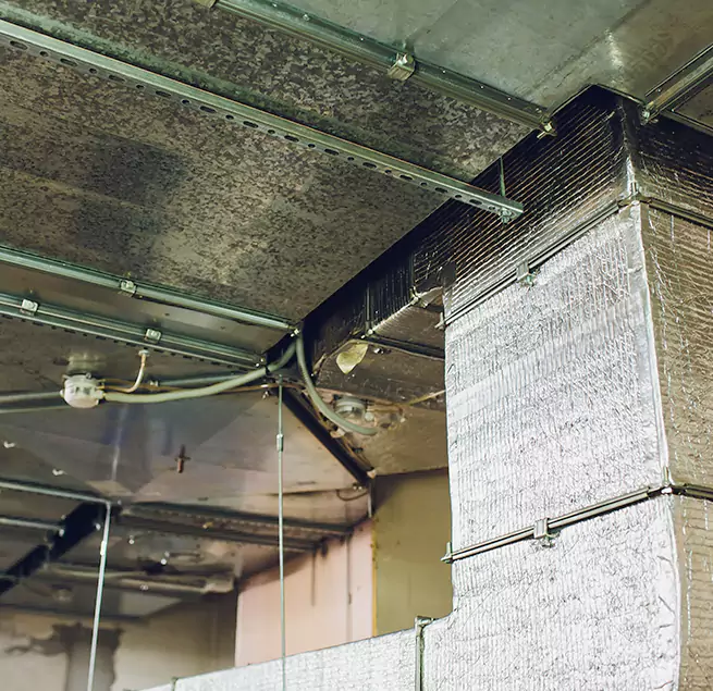 Why Homeowners & Businesses Trust Us in Pinewood, FL?