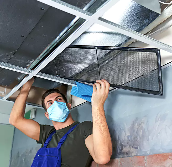 Why Homeowners Businesses Trust Us in Pinewood, FL?