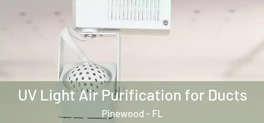 UV Light Air Purification for Ducts Pinewood - FL